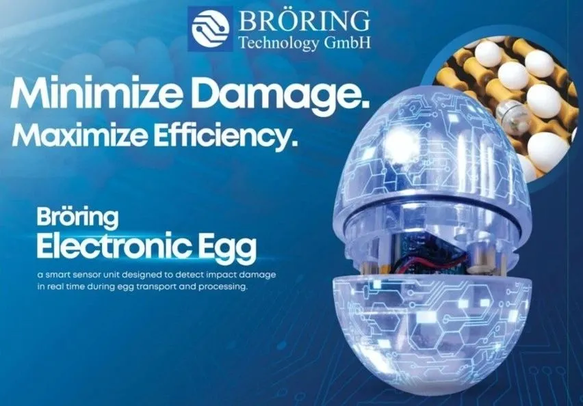 Bröring Electronic Egg